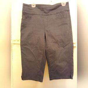 Gloria Vanderbilt Gray Bermuda Shorts with Pull-On Style